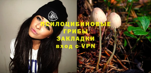 apvp Волосово