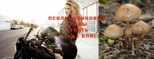 apvp Волосово