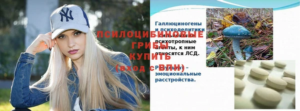 apvp Волосово