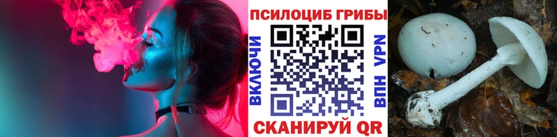 цены   Ярославль  Галлюциногенные грибы Cubensis 